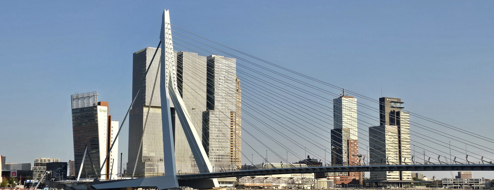 The Erasmus Bridge in Rotterdam with the Kop van Zuid towers behind it